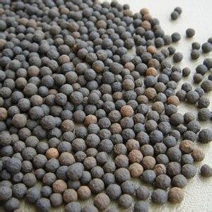 棲霞生物陶粒生產(chǎn)廠家陶粒濾料作用_環(huán)保設(shè)備欄目