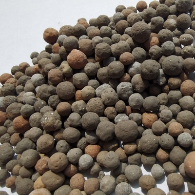 生物陶粒及其在杭州天然污水處理中的應用