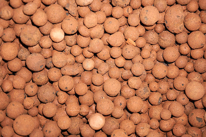 探索陶粒水培 技術、優勢與應用實踐