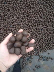 思茅粘土陶粒濾料 聚焦渤泰建材回填陶粒廠的專業優勢