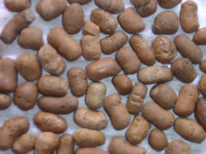 沈陽(yáng)陶粒濾料 頁(yè)巖陶粒的優(yōu)勢(shì)與應(yīng)用