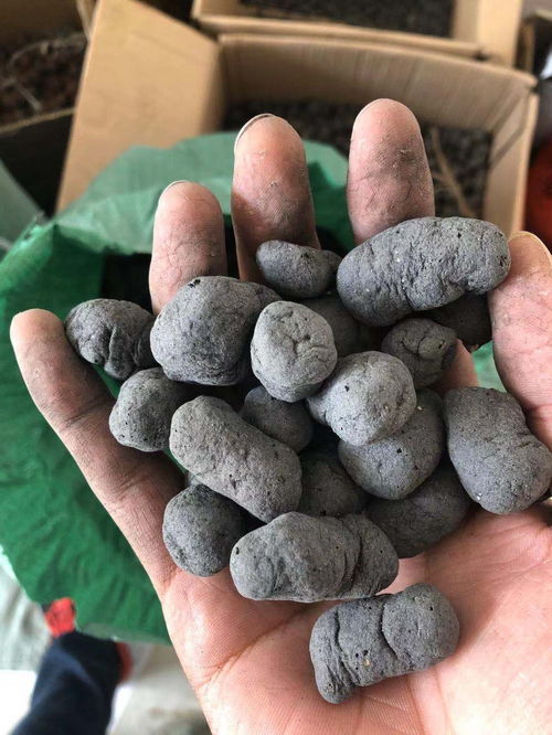 八宿縣建筑陶粒價(jià)格解析與選購(gòu)指南